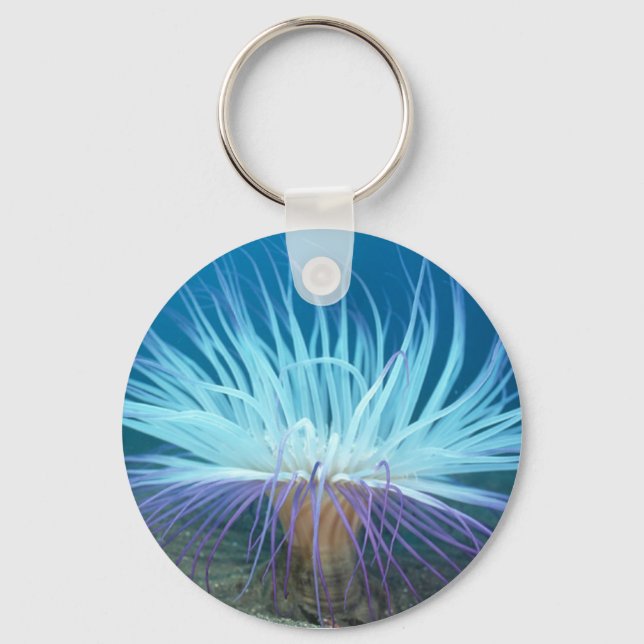 Sea Life Sea Anemone Keychain Nyckelring (Framsida)