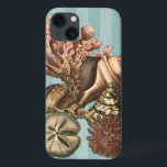 Sea Life Silhouette<br><div class="desc">Den här konsten visningar det finaste saken i havet. Hitta alla olika typer av havsliv i den här bilden,  inklusive Conch Seashell,  Sand Dollars och Reefs begravda i havet. Den här konstsamlingen är ett måste i dina nästa Zazzle-produkter.</div>