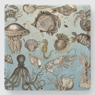 Sea Life Stenunderlägg