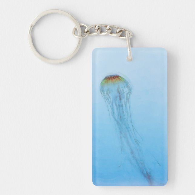 Sea Nettle (Framsidan)