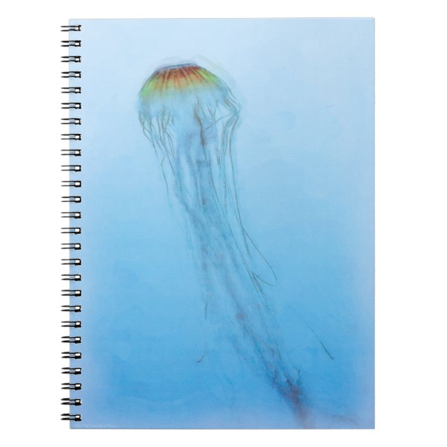 Sea Nettle Anteckningsbok Med Spiral (Framsidan)