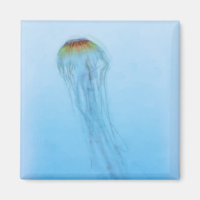 Sea Nettle Magnet (Framsidan)