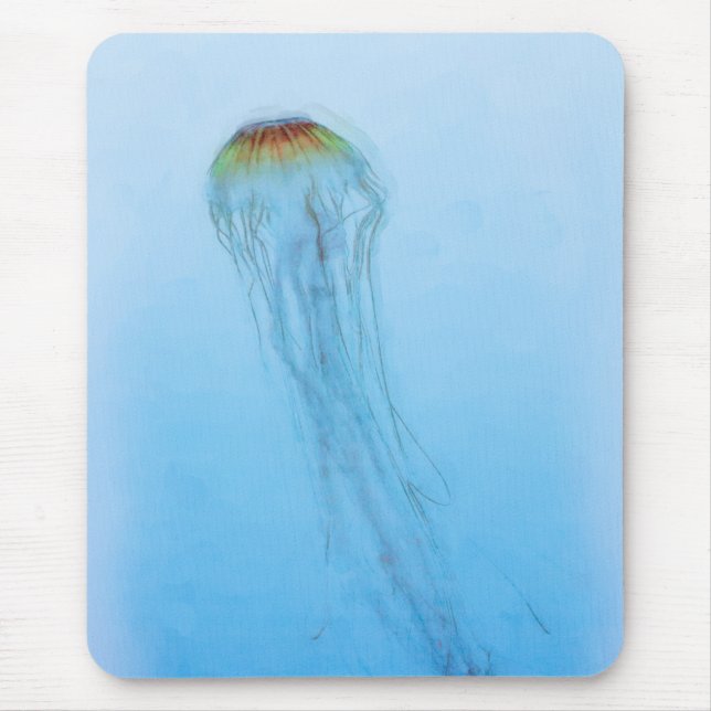 Sea Nettle Musmatta (Framsidan)