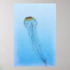 Sea Nettle Poster