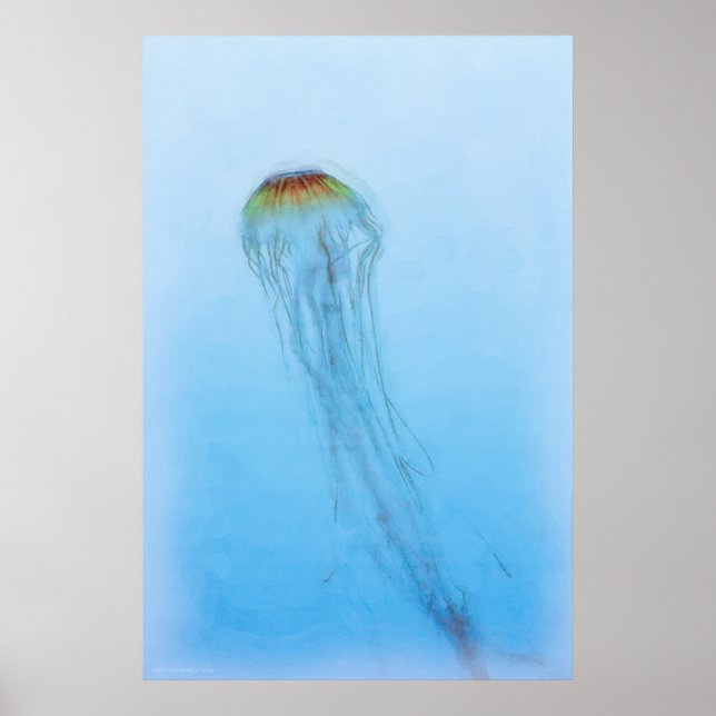 Sea Nettle Poster (Framsidan)