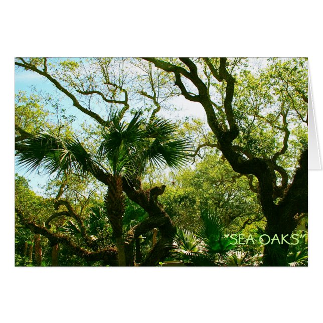 Sea Oaks OBS Kort (Framsidan Horizontal)