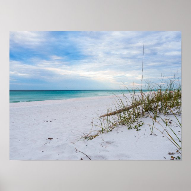 Sea Oats And White Sand Beach Morning Poster (Framsidan)