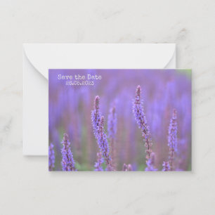 Sea of Lila blommor vid RHS Wisley Save the Date Anteckningskort