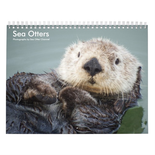 Sea Otter Channel Calendar #1 Kalender (Omslag)