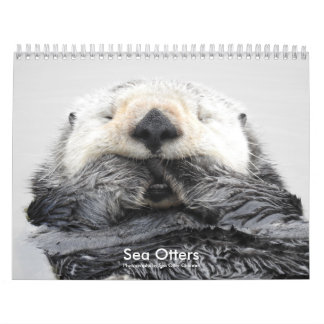 Sea Otter Channel Calendar #2 Kalender