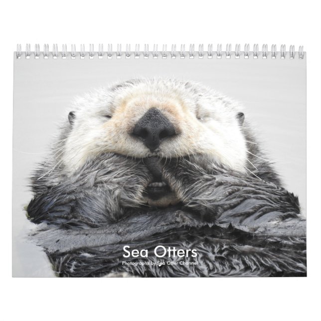 Sea Otter Channel Calendar #2 Kalender (Omslag)