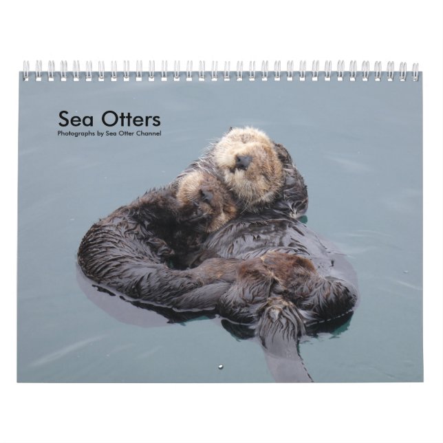 Sea Otter Channel Calendar #4 Kalender (Omslag)