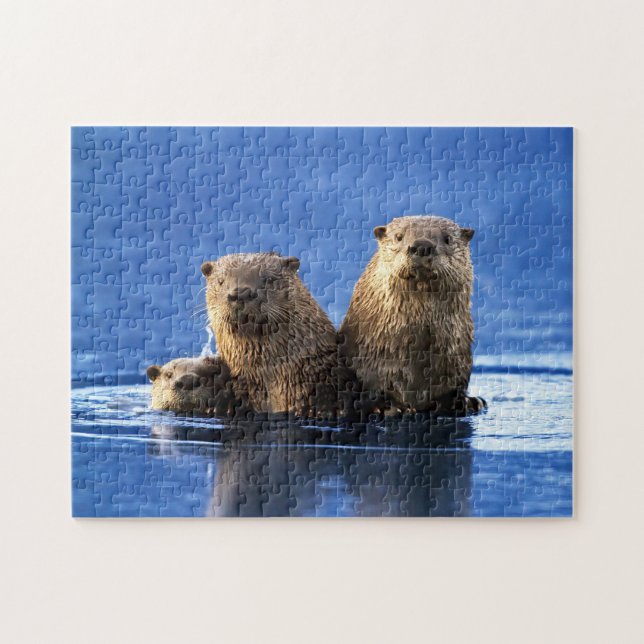 Sea Otter Family, Jigszawa Puzzle Pussel (Horisontell)