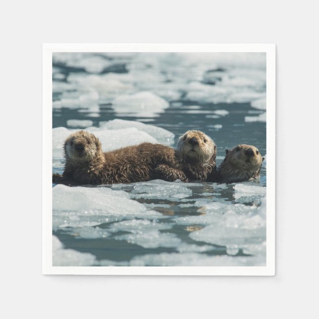 Sea Otter Family Pappersservett (Framsidan)