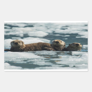 Sea Otter Family Rektangulärt Klistermärke