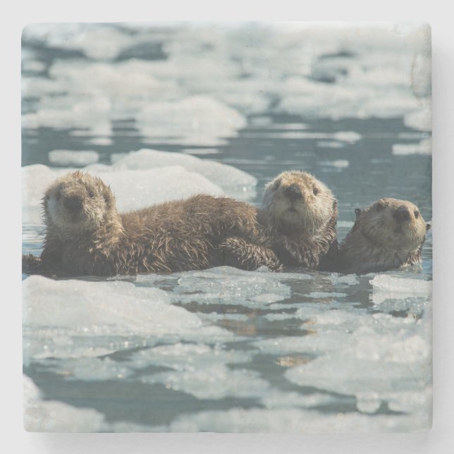 Sea Otter Family Stenunderlägg (Framsidan)