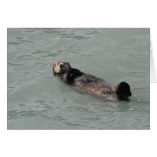 Sea Otter Hälsningskort