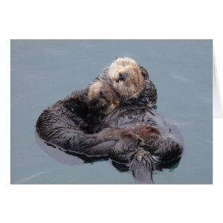 Sea Otter Mom and Pup Hälsningskort