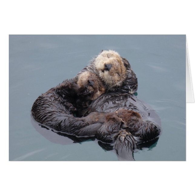Sea Otter Mom and Pup Hälsningskort (Framsidan Horizontal)