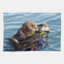 Sea Otter mor och valp med kelp