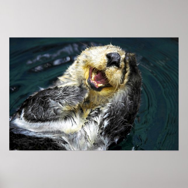 Sea Otter Poster (Framsidan)