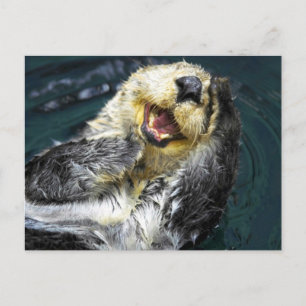 Sea Otter Vykort