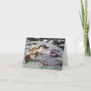 Sea Otters Holding Händer Kort