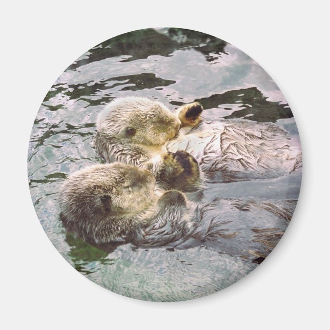 Sea Otters Holding Händer Magnet (Framsidan)