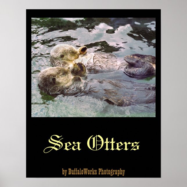 Sea Otters Holding Händer Poster (Framsidan)