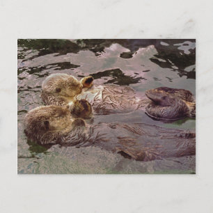 Sea Otters Holding Händer Vykort