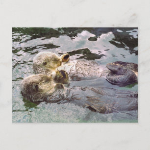 Sea Otters Holding Händer Vykort