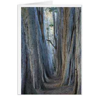 Sea Ranch, CA Hälsningskort