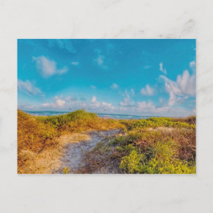 Sea Scape Vykort