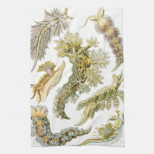 Sea Slugs av Ernst Haeckel, Vintage Nudibranchia Kökshandduk