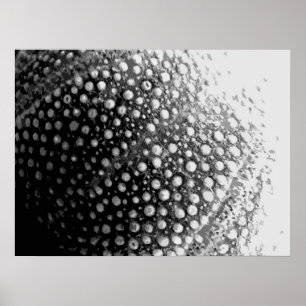 SEA-SNÄCKA 4 POSTER