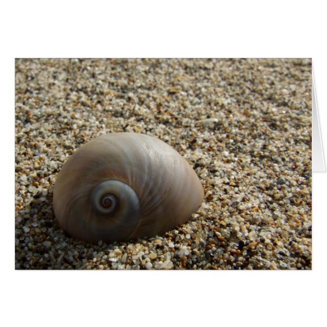 Sea Snäcka Card Hälsningskort (Framsidan Horizontal)