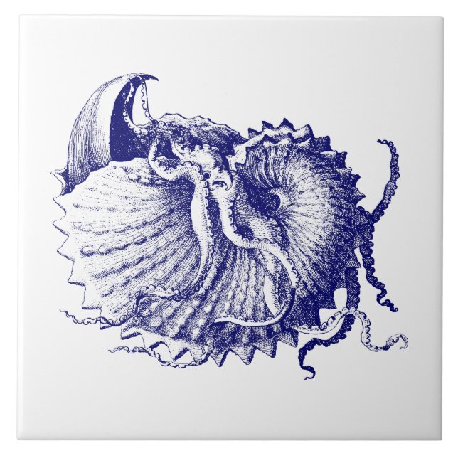 Sea snäcka Nautilus Blue & White Kakelplatta (Framsidan)