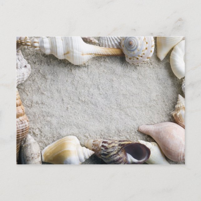 Sea Snäcka Sand Background - Beach Snäckors Custom Vykort (Framsida)