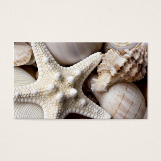 Sea Snäcka Starfish Background - Beach Snäckors Visitkort (Framsidan)