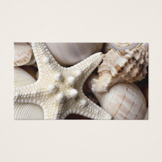 Sea Snäcka Starfish Background - Beach Snäckors Visitkort (Framsidan)