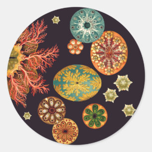 Sea Squirt Remix Stickers Runt Klistermärke