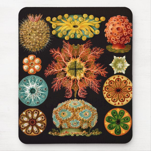 Sea Squirt Square Mousepad Musmatta (Framsidan)