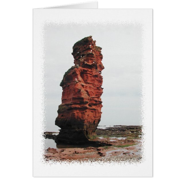 Sea Stack Sten. Ladram Bay, Devon. Storbritannien. OBS Kort (Framsidan)