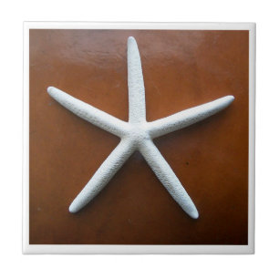 Sea Star Tile Kakelplatta