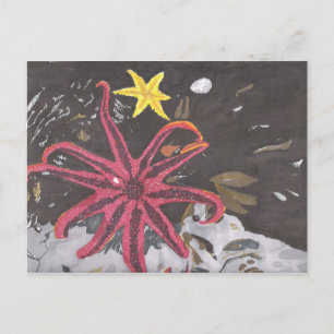 Sea Star Vykort