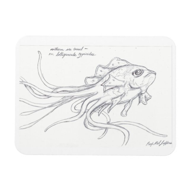 Sea Tassel Magnet (Horisontell)