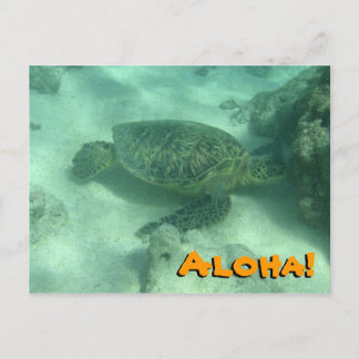 Sea Turtle Aloha från Hawaii Postcard Vykort