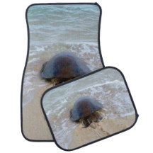Sea Turtle