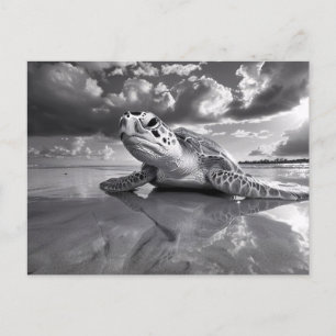 Sea Turtle Black and White Art Art Vykort