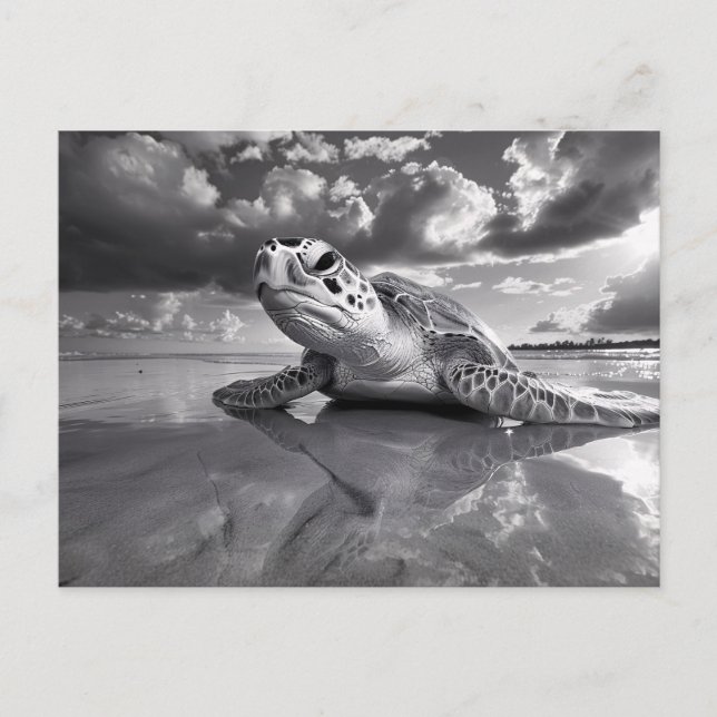 Sea Turtle Black and White Art Art Vykort (Framsida)
